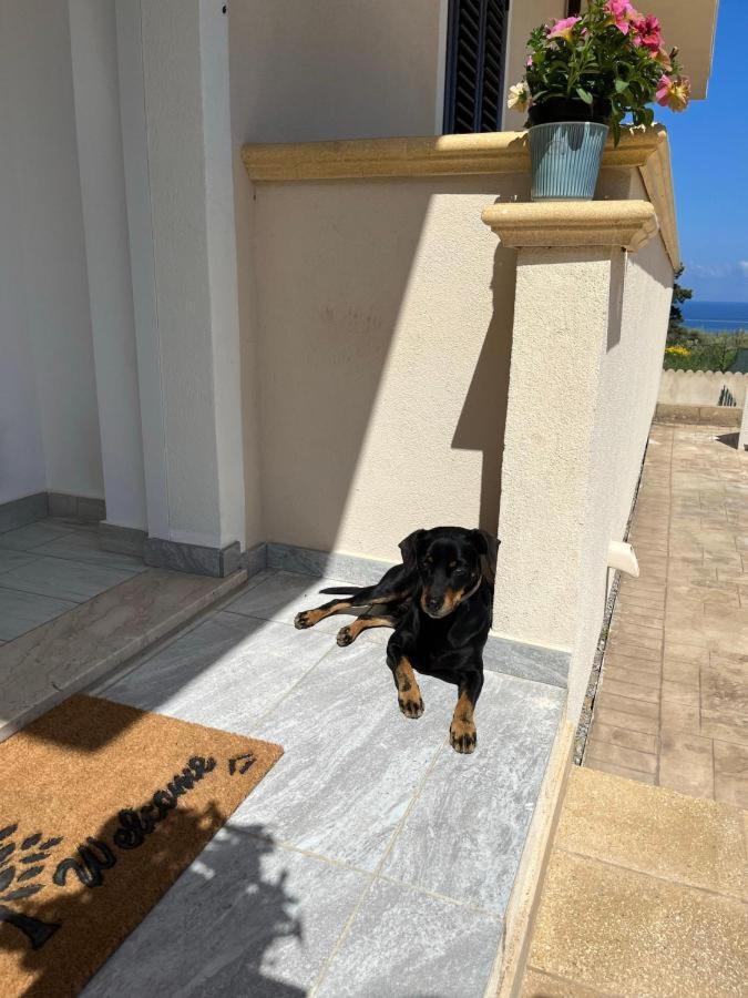 סנטה דומניקה Villa Ada מראה חיצוני תמונה